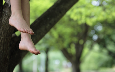 Réformes urgentes pour renforcer la protection juridique des mineurs 2024