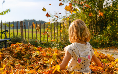 Le droit des enfants se réinvente face aux enjeux numériques