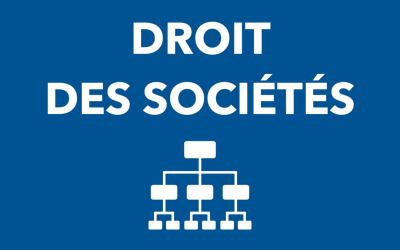 Le droit des sociétés devient levier stratégique après réforme 2023